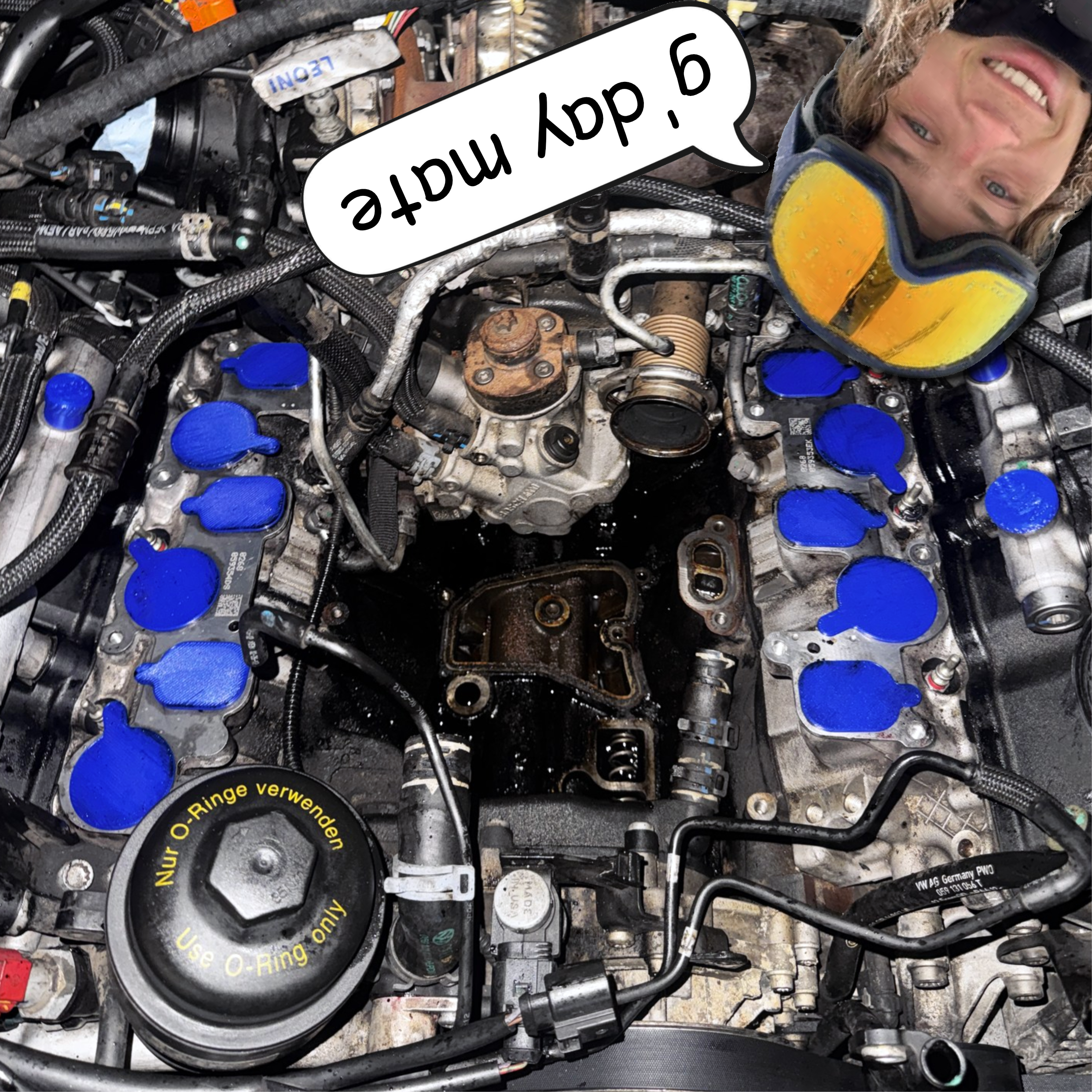 Cactus Caps - PETG Gen2 Cylinder Head & Fuel Rail Caps for the TOUGHEST Valley Jobs (Free 3D Models)